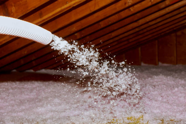 Best Batt and Roll Insulation  in Hoschton, GA